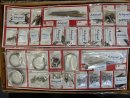 Im Kundenauftrag: 1/8 Automodellbausatz Pocher K81 Alfa Romeo 8C 2600 Mille Miglia Scuderia Ferrari (1934) - Euro 1100