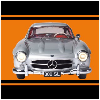 IXO 1/8 Auto-Modellbausatz Mercedes Benz 300 SL (1954) silber